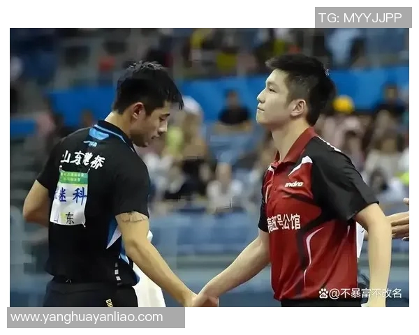 樊振东与张继科的巅峰对决乒乓球赛场上的传奇之战与未来展望