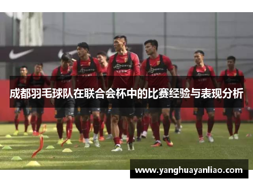 成都羽毛球队在联合会杯中的比赛经验与表现分析