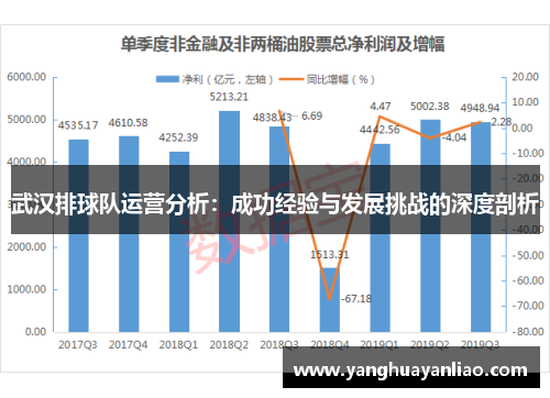 武汉排球队运营分析：成功经验与发展挑战的深度剖析