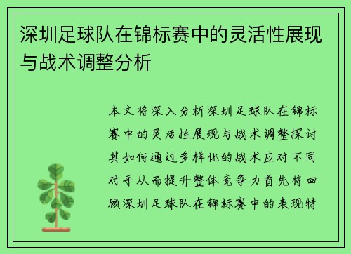 深圳足球队在锦标赛中的灵活性展现与战术调整分析